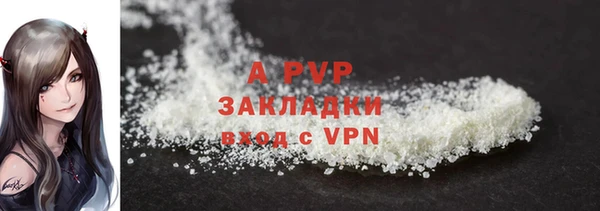 прущие грибы Пересвет