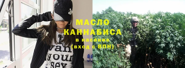 прущие грибы Пересвет